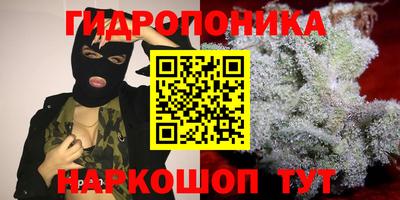 гидра Жуковский